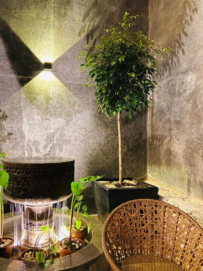 סאן מיגל דה אלנדה Casa Juana Guesthouse מראה חיצוני תמונה